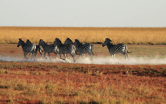 Liuwa Plain NP