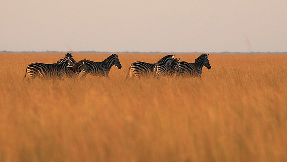 Liuwa Plain NP