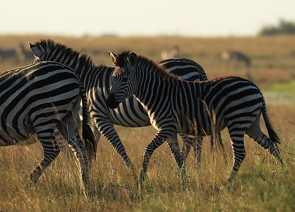 Liuwa Plain NP