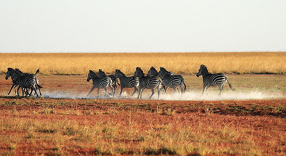 Liuwa Plain NP