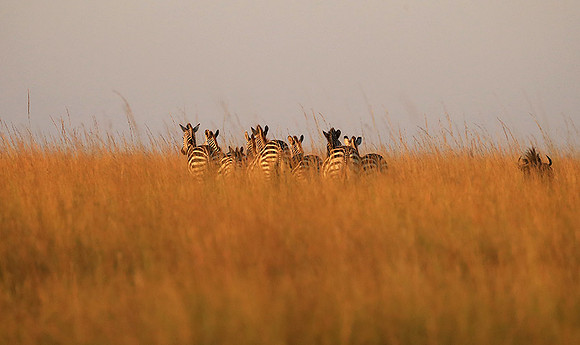 Liuwa Plain NP