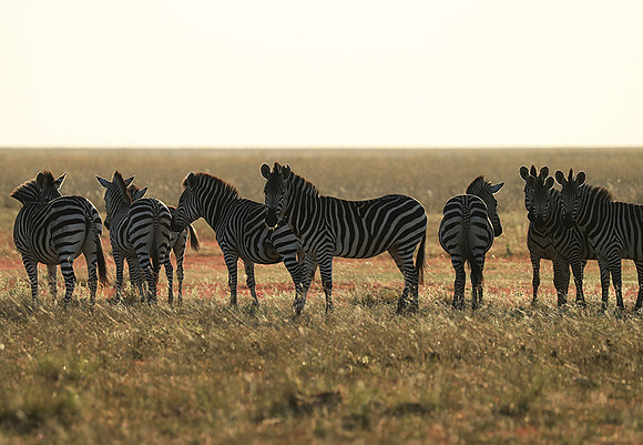 Liuwa Plain NP