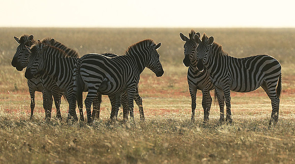 Liuwa Plain NP