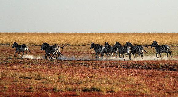 Liuwa Plain NP