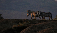 Lower zambezi
