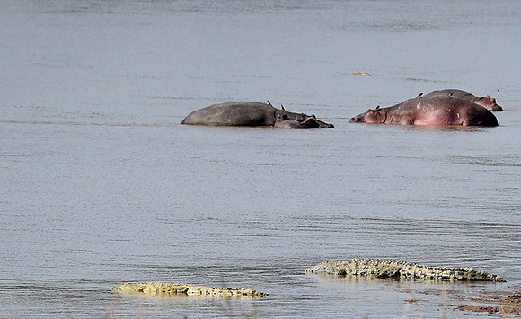 South Luangwa National Park