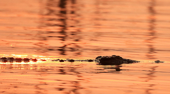 Matusadona National Park