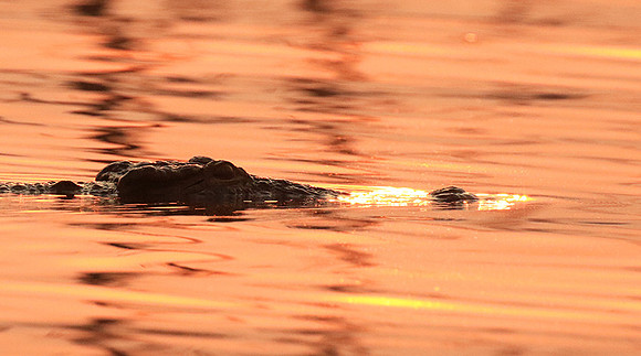 Matusadona National Park