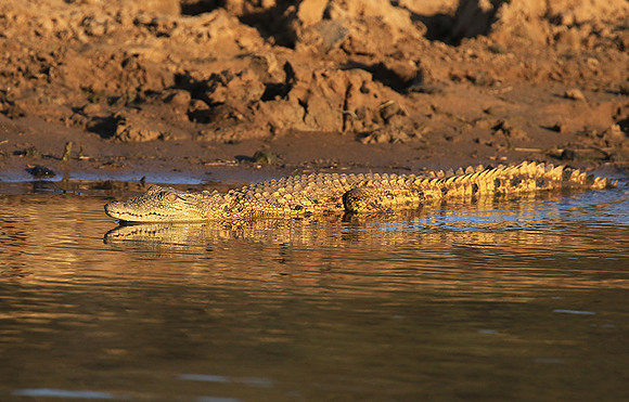 At Malilangwe