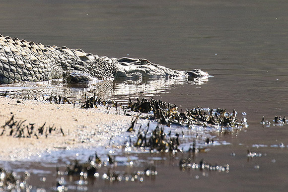 At Malilangwe