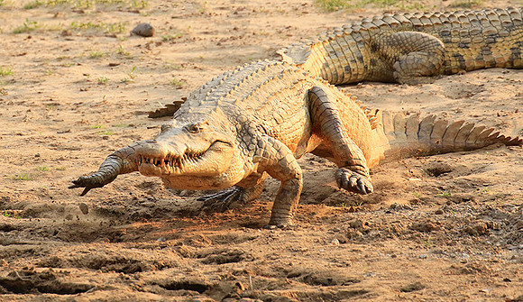 Matusadona National Park