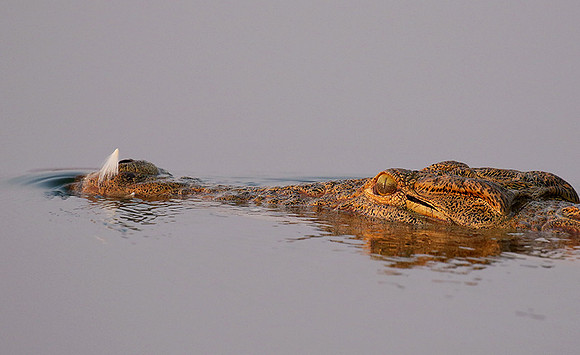 Matusadona National Park
