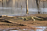 At Malilangwe