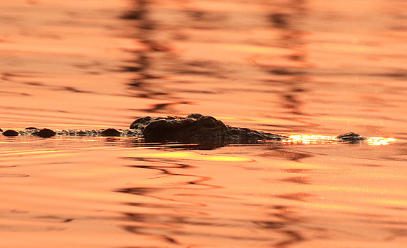 Matusadona National Park