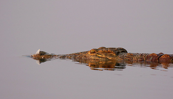 Matusadona National Park