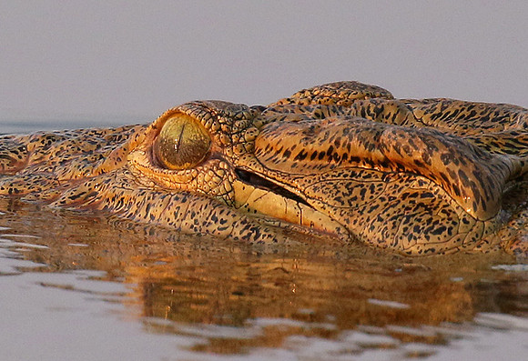 Matusadona National Park