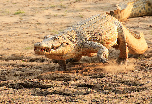 Matusadona National Park
