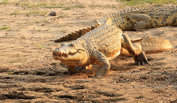 Matusadona National Park
