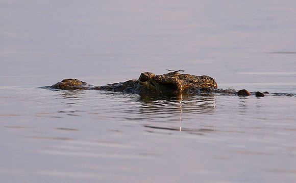 Matusadona NP
