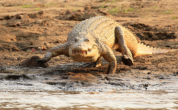 Matusadona National Park