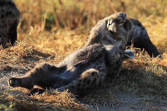 Liuwa Plain National Park