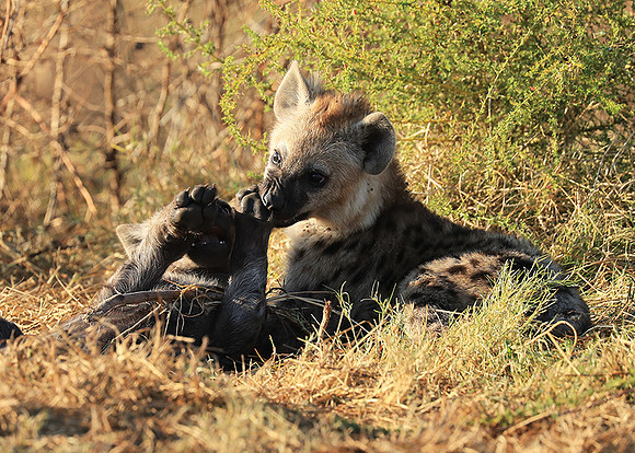 Liuwa Plain NP