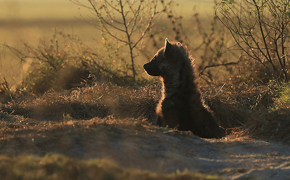 Liuwa Plain NP