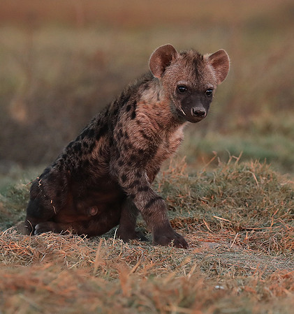 Liuwa Plain NP