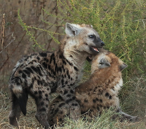 Liuwa Plain NP