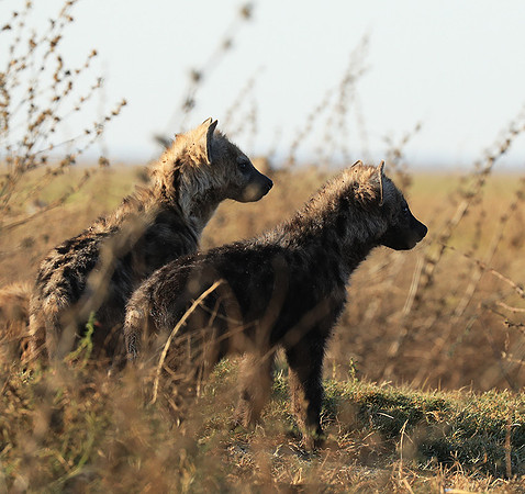 Liuwa Plain NP