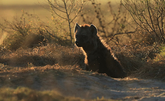 Liuwa Plain NP