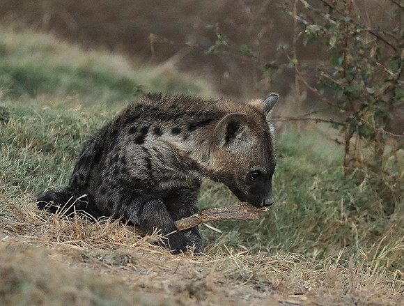 Liuwa Plain NP