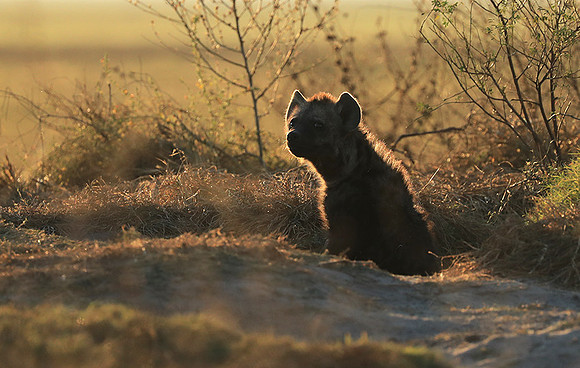 Liuwa Plain NP