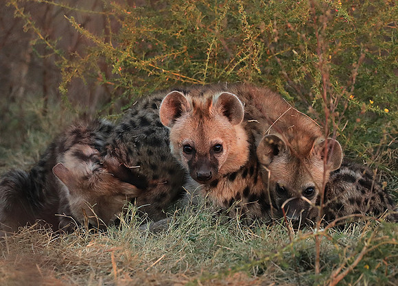 Liuwa Plain NP