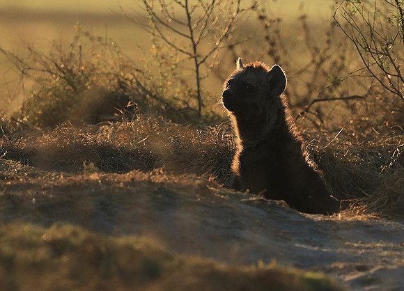 Liuwa Plain NP
