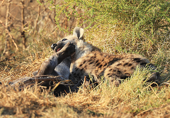 Liuwa Plain NP