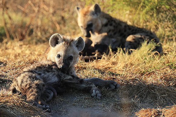 Liuwa Plain NP