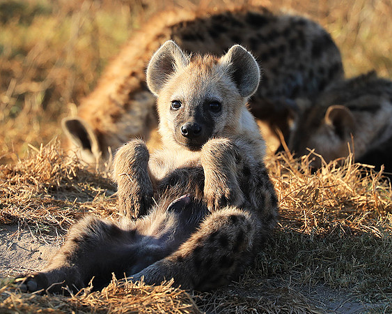 Liuwa Plain National Park