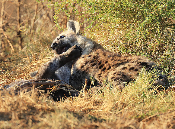 Liuwa Plain NP