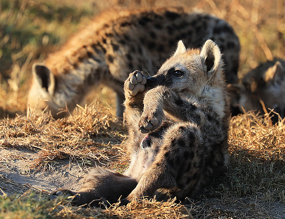 Liuwa Plain National Park