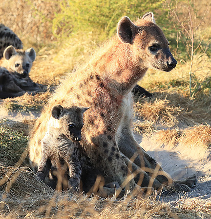 Liuwa Plain NP