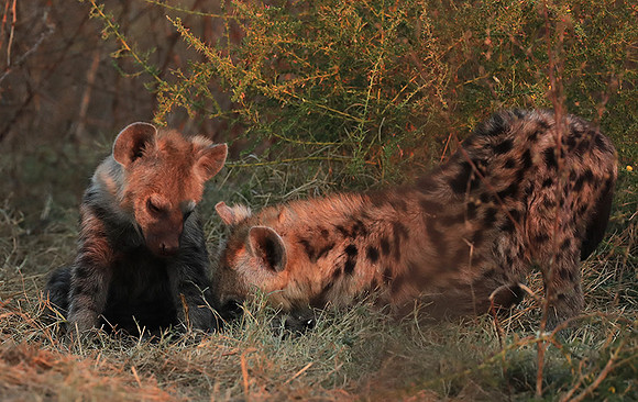 Liuwa Plain NP