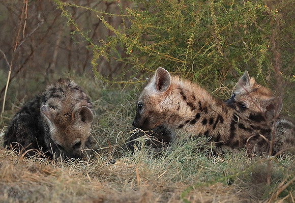 Liuwa Plain NP