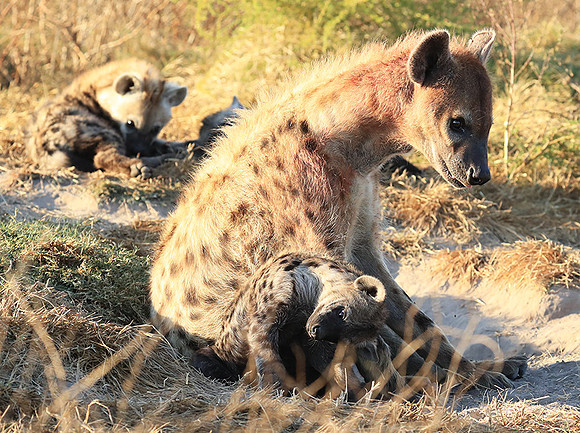 Liuwa Plain NP