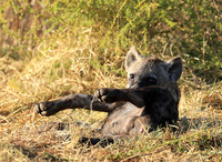 Liuwa Plain NP