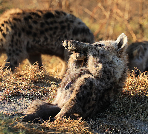 Liuwa Plain National Park