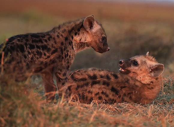 Liuwa Plain NP