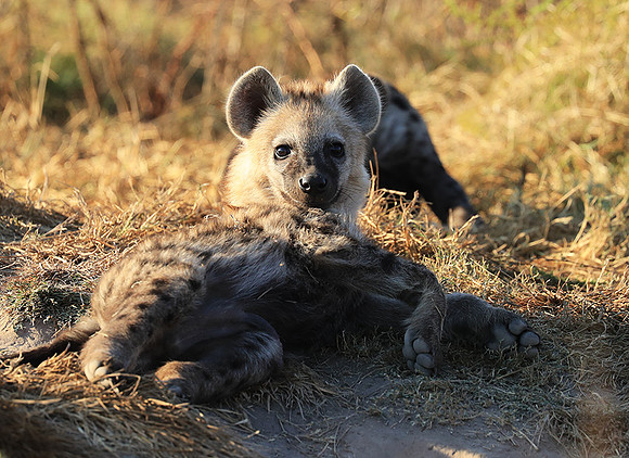 Liuwa Plain NP
