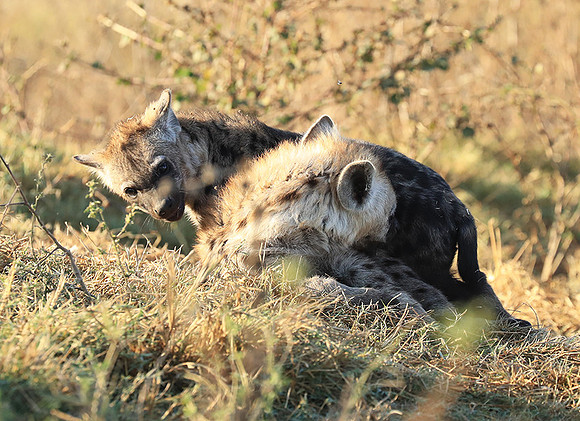 Liuwa Plain NP