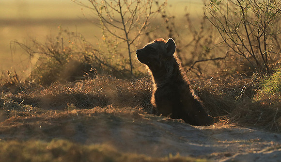 Liuwa Plain NP